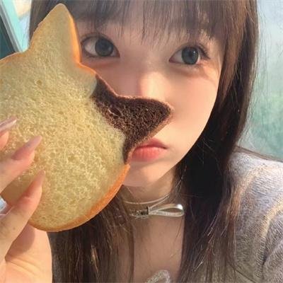 科搜研之女2022